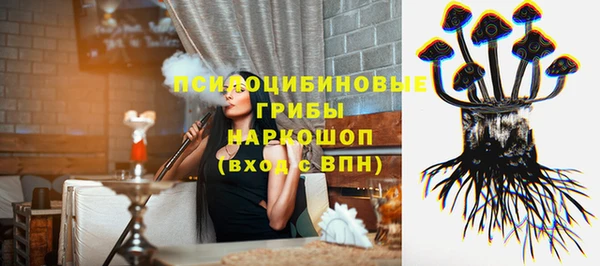 индика Балабаново