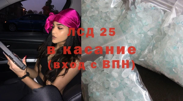 шишки Беломорск