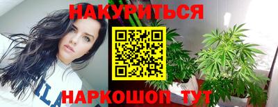 шишки Краснодар
