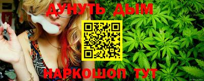 шишки Краснодар