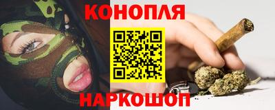 шишки Краснодар