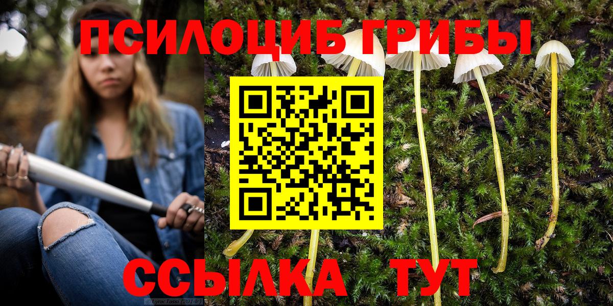 Псилоцибиновые грибы MAGIC MUSHROOMS Корсаков