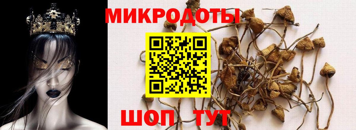 Галлюциногенные грибы прущие грибы  Вход с VPN  Корсаков  Псилоцибиновые грибы мухоморы 