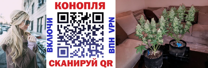 цена наркотик  Корсаков  даркнет телеграм  Бошки Шишки ГИДРОПОН 